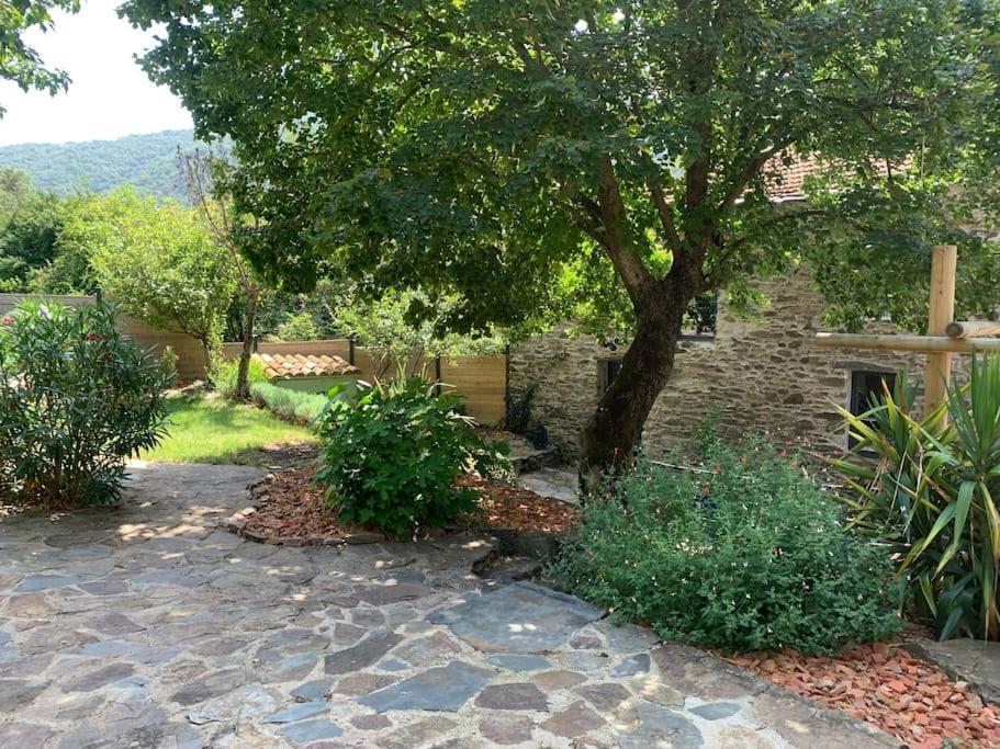 Appartement De Charme Dans Un Ancien Mas Cevenol Piscine Et Jacuzzi Holiday home