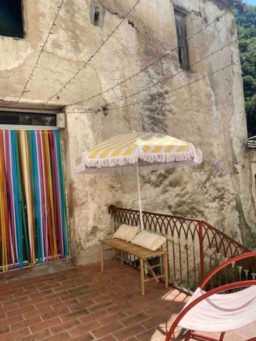 Appartement De Charme Dans Un Ancien Mas Cevenol Piscine Et Jacuzzi *